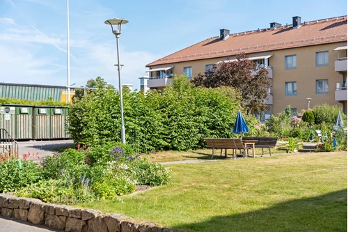 Grönskande innergård precis utanför dörren!