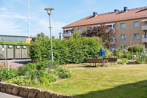 Grönskande innergård precis utanför dörren!