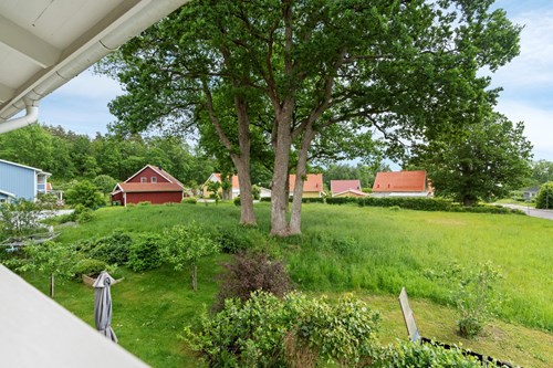 ...med utsikt över grönområde!