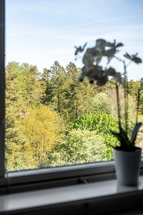 Fri och grönskande utsikt!