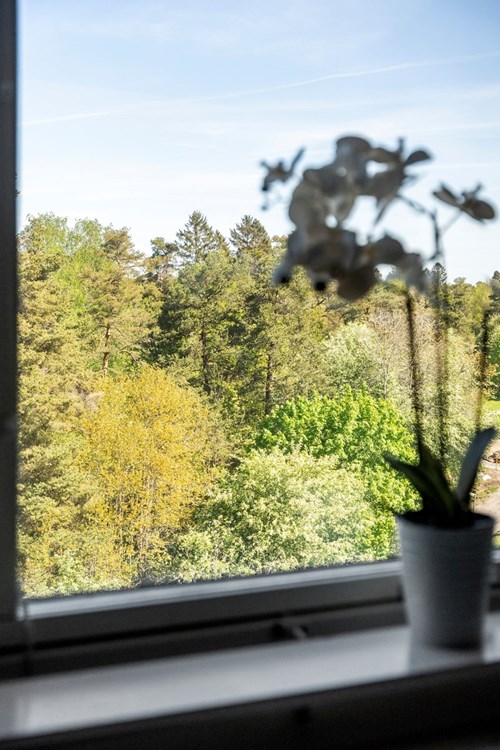 Fri och grönskande utsikt!