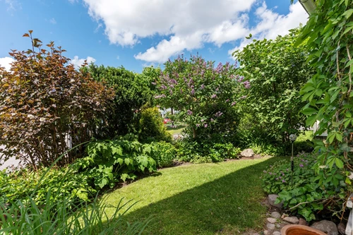 Lummigt och grönskande på framsidan!