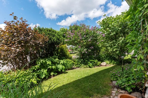 Lummigt och grönskande på framsidan!